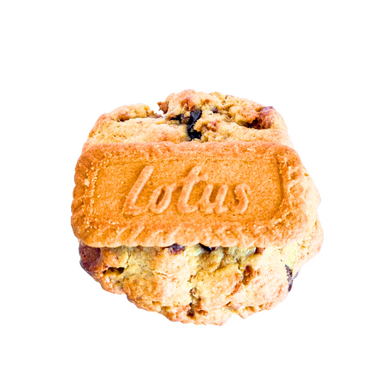 Speculas Biscoff Cookie